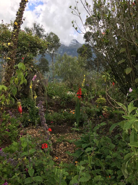 Garden and Trails in High Sierras of Ecuador