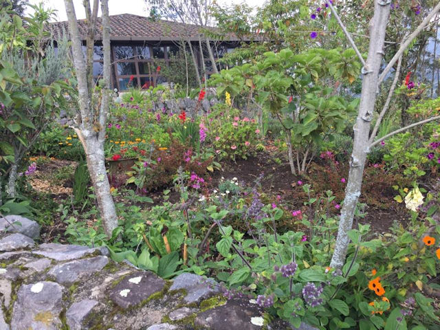 Garden and Trails in High Sierras of Ecuador