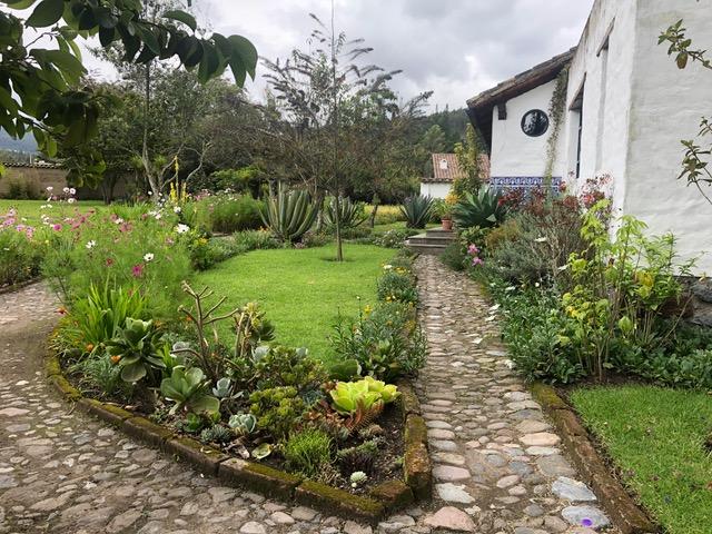 Garden at Las Palmeras Inn