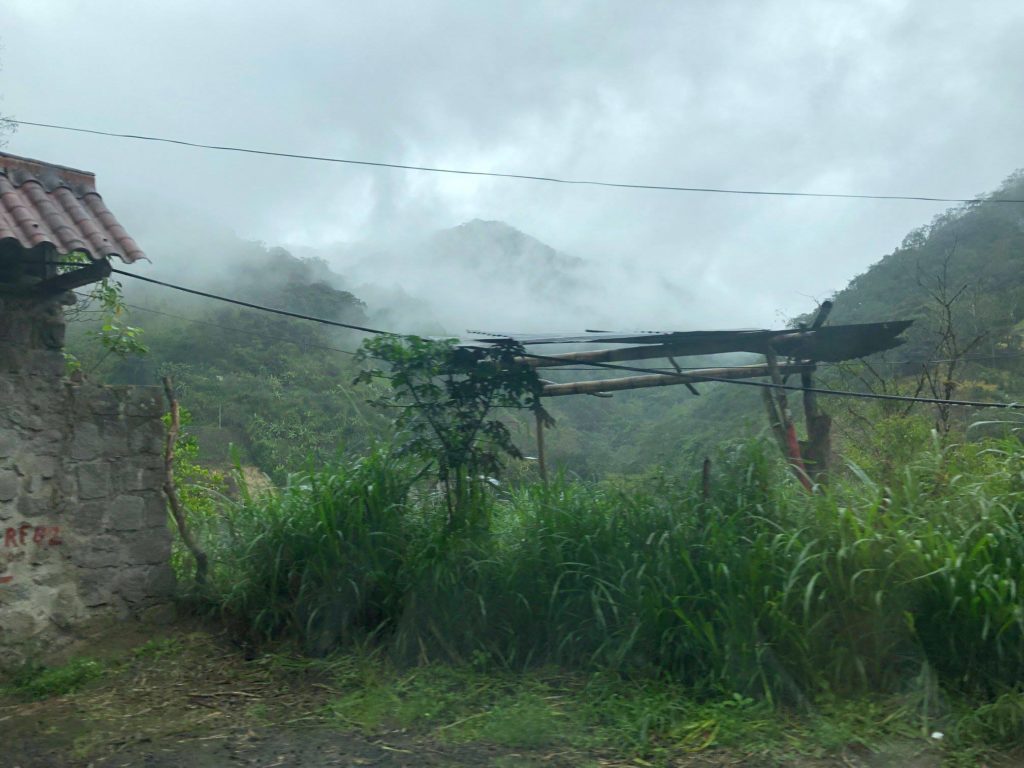 Cloud Forest of Ecuador