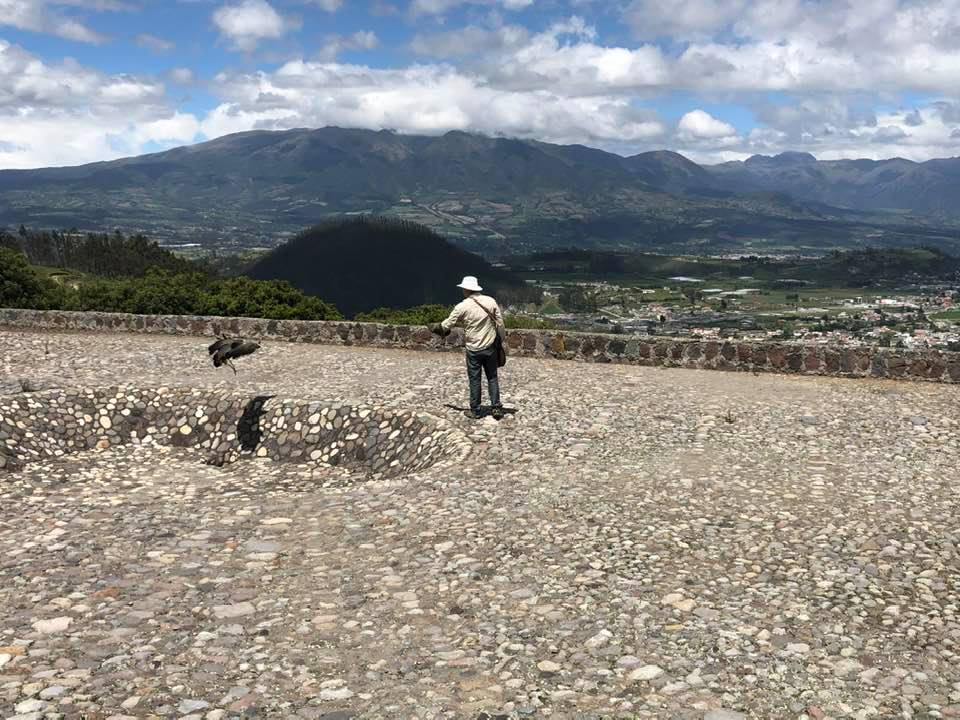 The Condor Preserve above Otavalo Ecuador