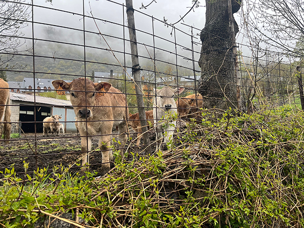 Hiking by a farm along the river.