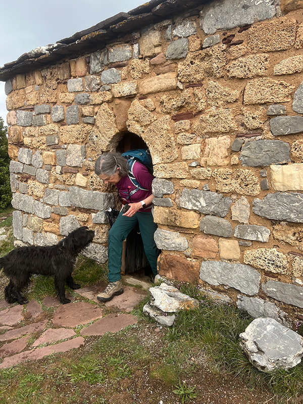 Ellie has brought Alejandro’s dog on her hike. He’s a good guide, too!